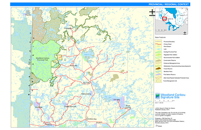 Woodland Caribou Signature Site is located on the Ontario-Manitoba border approximately 30 kilometres west of the town of Red Lake, 50 kilometres north of the community of Wabaseemoong and 60 kilometres south of the community of Pikangikum. The WCSS is located within the Kenora and Red Lake administrative districts of the Ontario Ministry of Natural Resources and Forestry.
Pipestone Bay-McIntosh Enhanced Management Area (EMA) and Forest Reserve (FR) components of the WCSS are part of the Red Lake Forest Management Unit (FMU). The Whiskey Jack FMU borders the WCSS to the southeast, the Kenora FMU to the south, the Whitefeather FMU to the north. Regulated protected areas in the Whitefeather Forest that abut the WCSS include Weeskayjahk Ohtahzhoganeeng (Lake Country) 265,751 hectares, and Kahnahmaykoosayseekahk (Valhalla-Trough Lake) 4,808 hectares. Little Grand Rapids' Dedicated Protected Area (188,738 hectares), also borders the signature site to the northwest.
The western edge of the WCSS borders the province of Manitoba and three of its protected areas; Atikaki Provincial Wilderness Park (MB), Nopiming Provincial Park (MB) and South Atikaki Provincial Park (MB).