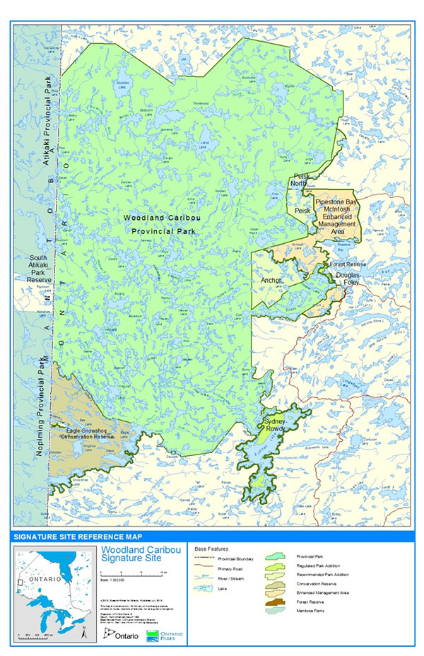 The Woodland Caribou Signature Site is composed of Woodland Caribou Provincial Park (472,620 ha), two park additions (13,658 ha), three recommended park additions 19,269 ha), Eagle-Snowshoe Conservation Reserve (35,621 ha), Pipestone Bay-McIntosh Enhanced Management Area (22,281 ha), and Woodland Caribou Forest Reserve (23 ha). The park lies along the Ontario-Manitoba border. The regulated park additions are located at Sydney/Rowdey Lake (southeast part of the park) and at Douglas Lake (on the east edge of the park). The recommended park additions are located at Peishk Lake and Anchor Lake (on the east edge of the park). Eagle-Snowshoe Conservation Reserve abuts the Manitoba border and the south boundary of the park. The Pipestone Bay-McIntosh Enhanced Management Area is along the east boundary of the park near Peisk, Anchor and Douglas Lakes. The Woodland Caribou Forest Reserve is north of the regulated park addition near Douglas Lake.
