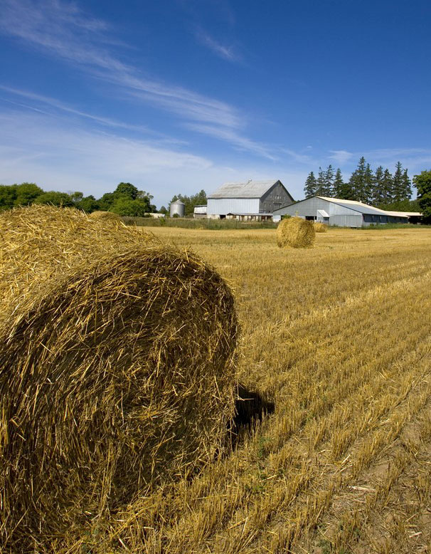 a bale of hay in a field with a farm in the background.