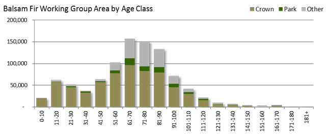 vertical bar graph of Balsam Fir working group area by age class including brown for Crown, green for park and grey for other.