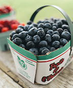 Foodland Ontario basket of blueberries