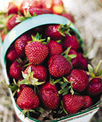 Foodland basket with strawberries
