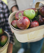 Wooden basket of apples with two people in the background
