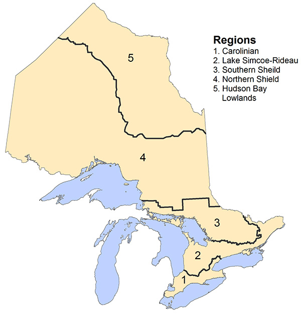 Map of the five ecoregions of Ontario. From north to south the ecoregions are as follows. Region 5 - Hudson Bay Lowlands. Region 4 - Northern Shield. Region 3 - Southern Shield. Region 2 - Lake Simcoe-Rideau. Region 1 - Carolinian. Most of Ontario’s known Bank Swallows breed in regions 1 and 2.
