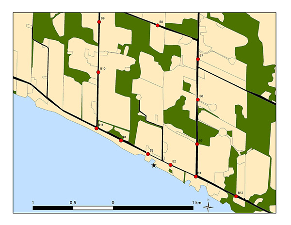 Map of an example study site, illustrating the arrangement of radio telemetry stations relative to a breeding colony, forests, and roads. Telemetry stations are placed at semi-regular intervals along roads to the west, north, and east of the shoreline breeding colony.