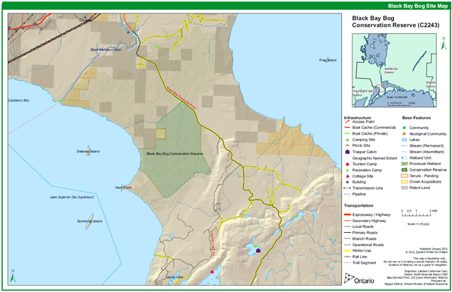 site and values map of Black Bay Bog Conservation Reserve. Map includes infrastructure, base and transportation features.