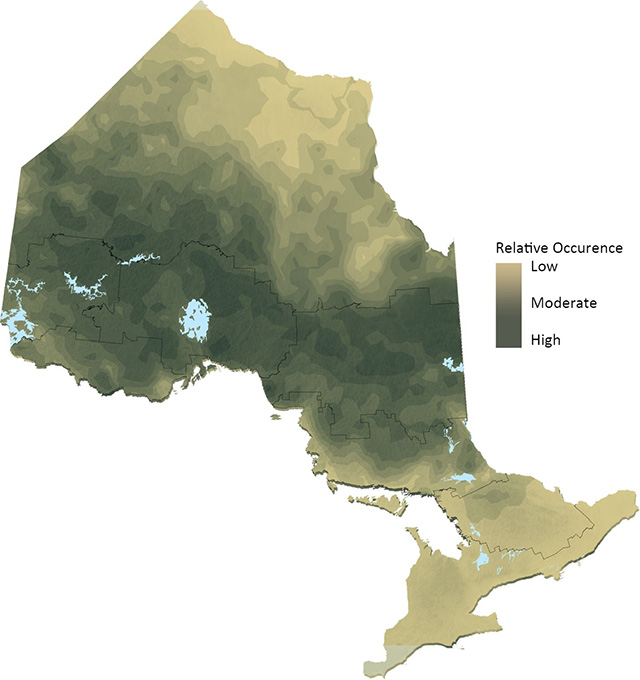 map of Jack Pine distribution in Ontario indicating low (light brown), moderate and high (dark green-brown) levels of relative occurrence.
