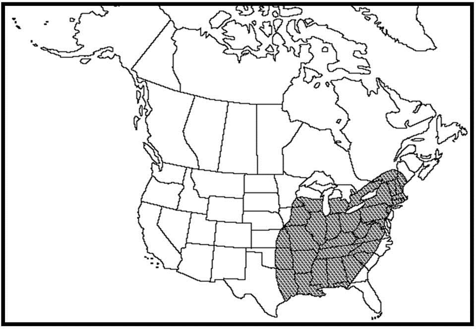 Map showing the global distribution of Blunt-lobed Woodsia in the Eastern United States, Eastern Ontario and Quebec.