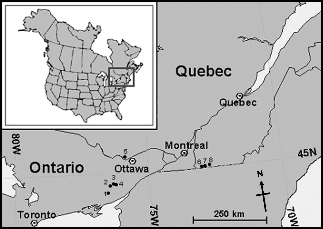 Map of Blunt-lobed Woodsia distribution in Canada. Eight occurrences are marked, all in eastern Ontario and southwestern Quebec. The four records in eastern Ontario cluster roughly between Ottawa and Kingston. One Quebec record is near Gatineau, Quebec, and the remaining three Quebec records are southwest of Montreal, near the border of U.S.A.