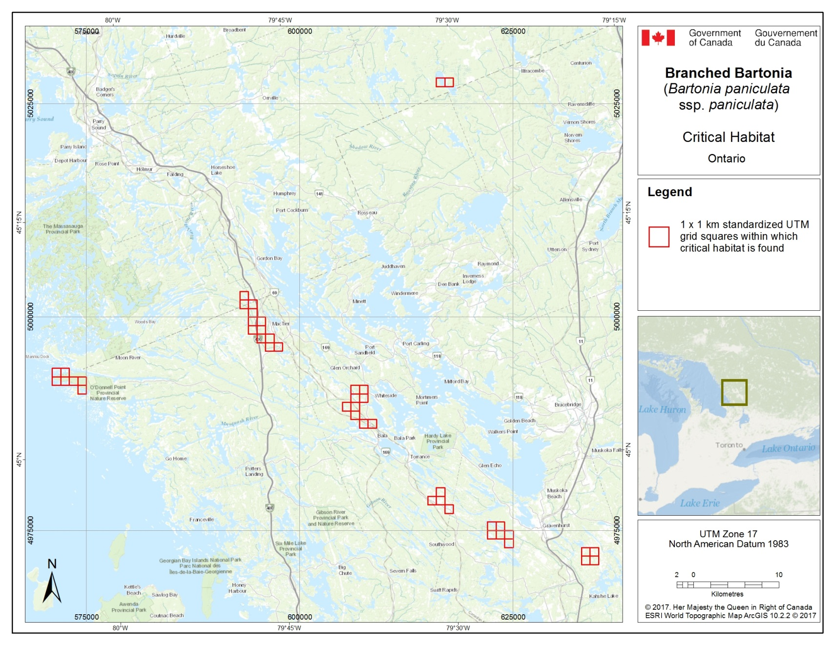Map showing identified Critical Habitat for Branched Bartonia in Canada