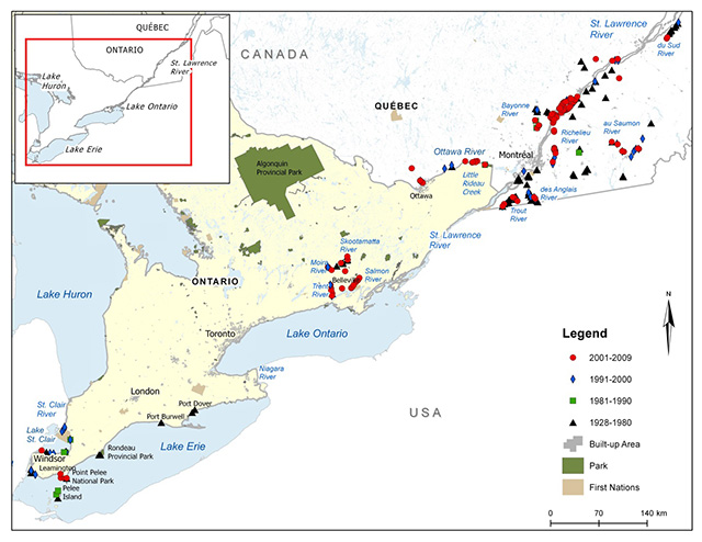 Map of central Ontario and Quebec, with an inset at the top left of the map showing the geographical location of this map on a larger scale map. A legend and scale are provided. The legend provides symbols denoting years of capture (2001–2009, 1991–2000, 1981–1990, and 1928–1980) as well as designations for Parks, First Nations, and Built-up Areas. Individual data points are identified by year of capture. The map shows disjunct populations of Channel Darter, the overall impression being three clusters of capture points, for the various time periods, one at the western end of Lake Erie and Lake St. Clair, a second cluster along the Moira and Trent Rivers around Bellville, and finally, a cluster in Quebec, along the Ottawa, St. Lawrence, Trout and Richelieu rivers. In addition, there are older data points, from 1928–1980, on the Lake Erie shoreline at Rondeau Provincial Park, Port Burwell, and Port Dover.