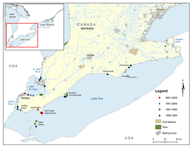 Map of southwestern and central Ontario showing Lake Erie and Lake St. Clair with an inset at the top left of the map showing the geographical location of this map on a larger scale map. A legend and scale are provided. The legend provides symbols denoting years of capture (2001–2009, 1991–2000, 1981–1990, and 1928–1980) as well as designations for Parks, First Nations, and Built-up Areas. Individual data points are identified by year of capture. The species has been collected from the Detroit River, Lake St. Clair, the St. Clair River, and Lake Erie.