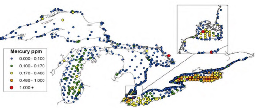 Figure 4: This figure shows the concentrations of mercury in parts per million in surface sediments from all the Great Lakes in 2011. Mercury was detected at higher than 1000 parts per million in Lake Ontario, Lake Saint Clair and Lake Huron. 