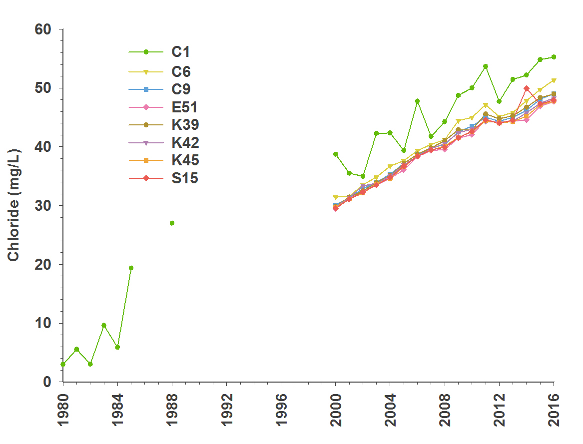 This graph shows average (yearly) changes in chloride concentrations (milligrams per litre) between 1980 and 2016 at eight stations on Lake Simcoe. During this time chloride concentrations have generally increased.