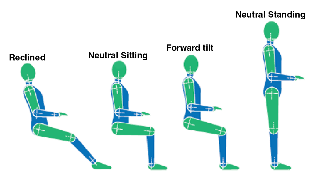Figure 1 shows a picture of four different working postures while performing computer work: reclined, upright, forward tilt and standing.