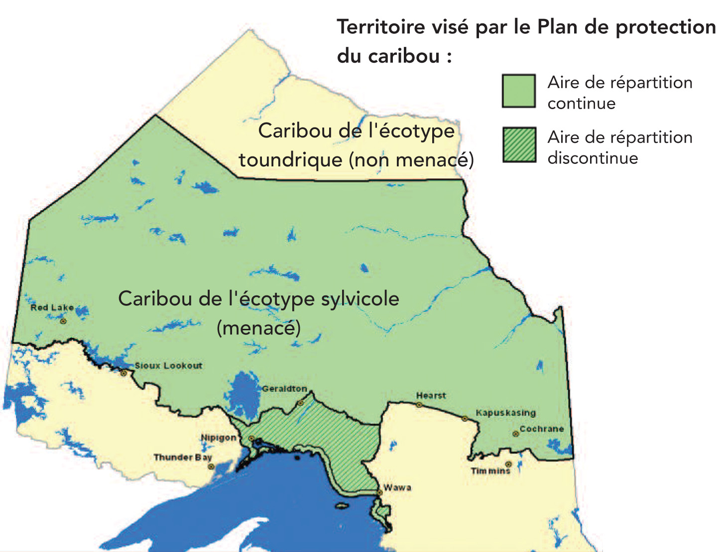 Cette carte du Nord de l'Ontario démontre le territoire visé par le Plan de protection du caribou, incluant les aires de répartition continues et discontinues.