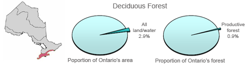 Pie area indicating deciduous forest region proportion of Ontario’s area and forest)
