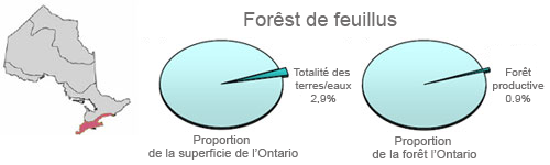 Région de la forêt décidue en proportion de la forêt de l'Ontario