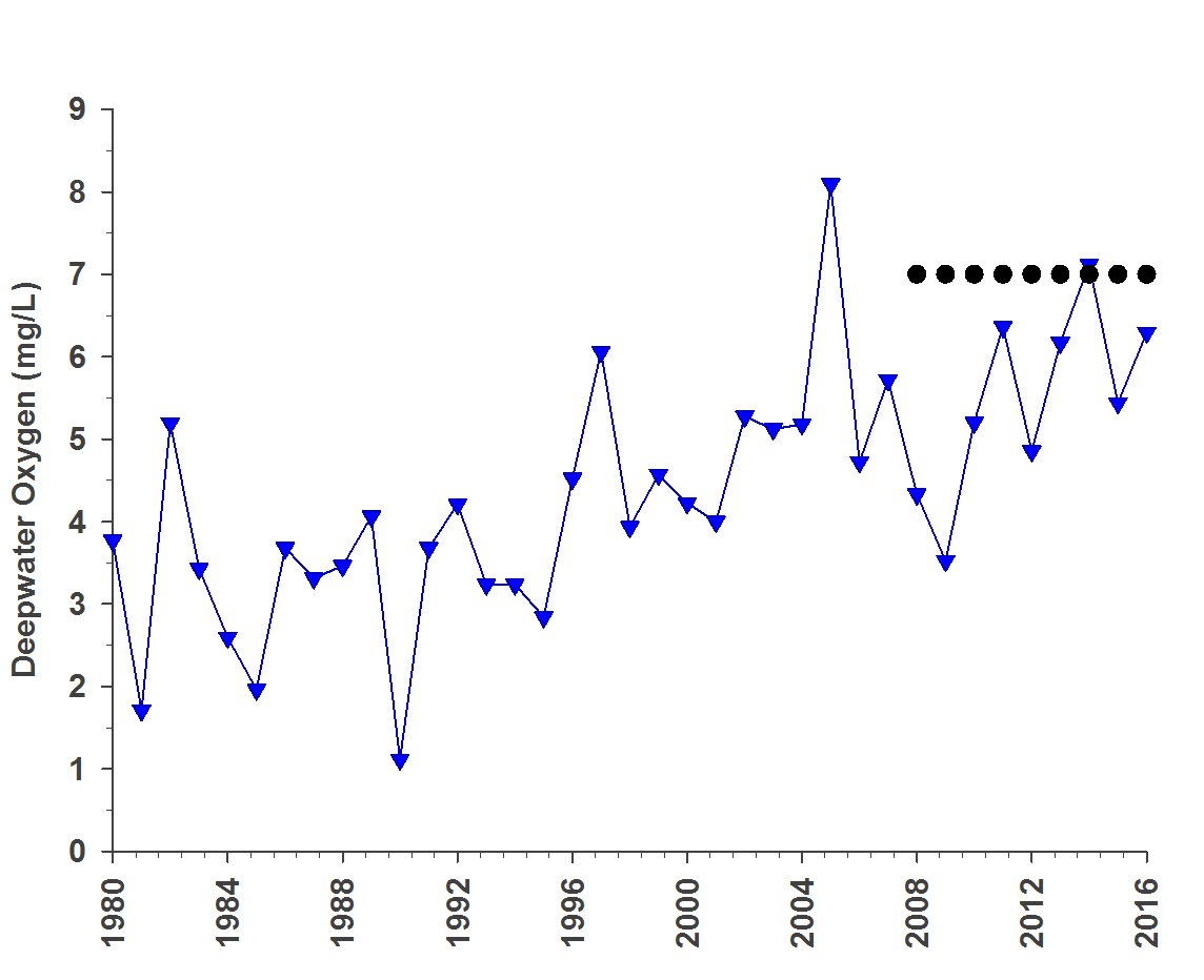 This graph shows changes in deepwater oxygen (micrograms per litre) between 1980 and 2016 measured at the deepest station in the lake. During this time deepwater oxygen levels have generally increased. The target in the Plan of a deepwater dissolved oxygen level of 7 micrograms per litre to restore a self-sustaining coldwater fish community in Lake Simcoe is indicated by the dotted line.