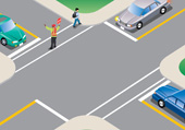 A school-crossing guard displays a red and white stop sign