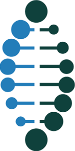 Digital Service Standard, 2021