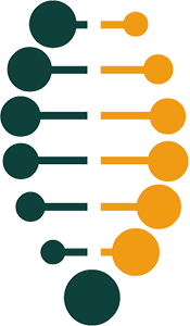 Dans cette métaphore du brin d’ADN, les besoins des usagers se tissent dans l’hélice de l’ADN et s’y enroulent quatre fois, ce qui représente chaque phase de la conception des services.