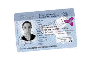 ontario drivers license psd free
