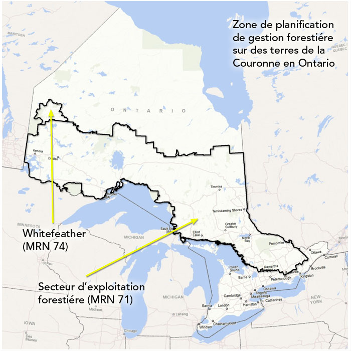 Zone de planification de gestion forestiére sur des terres de la Couronne en Ontario