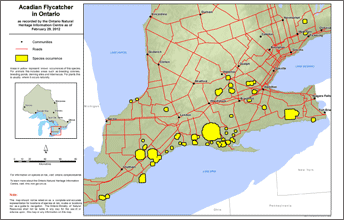 map of acadian flycatcher range