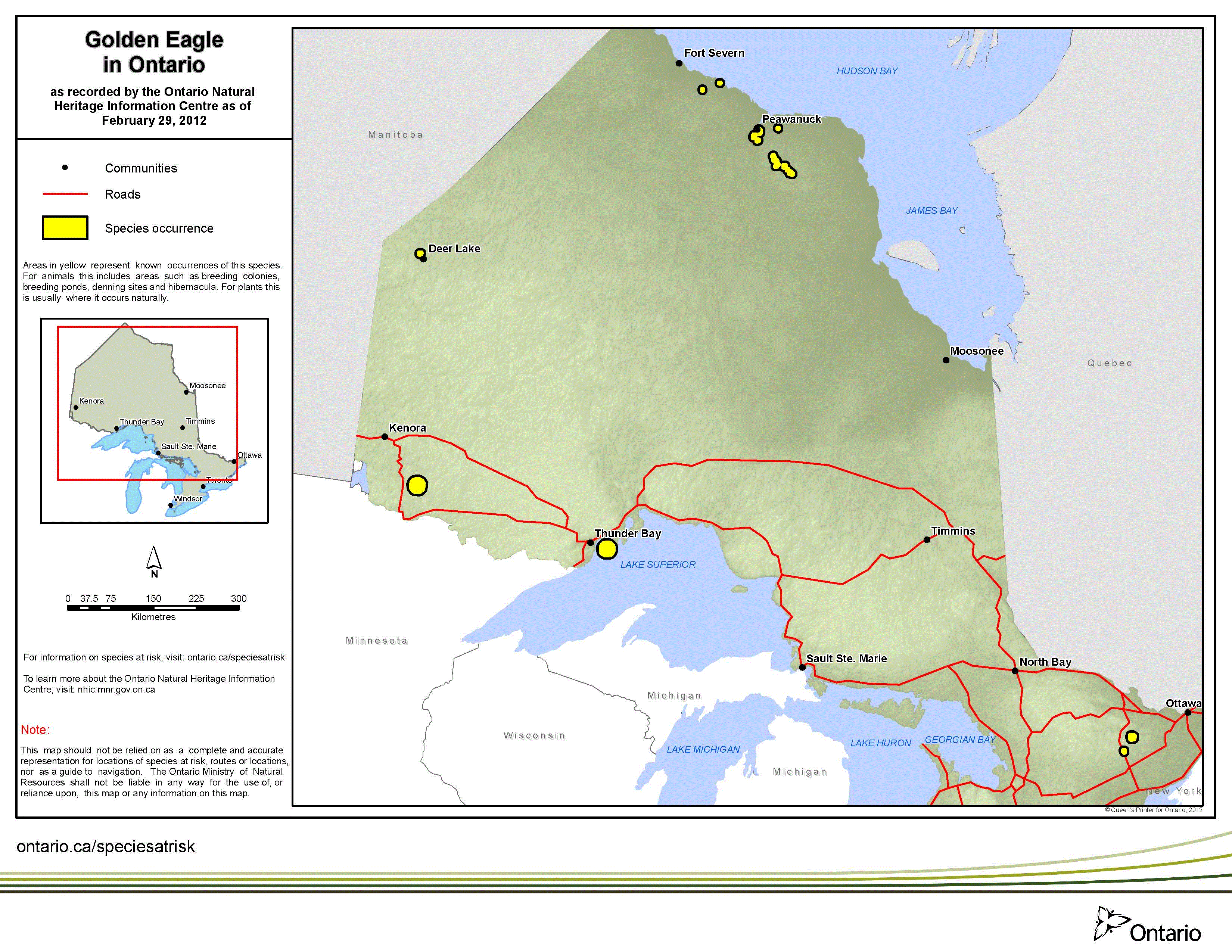 map of golden eagle range