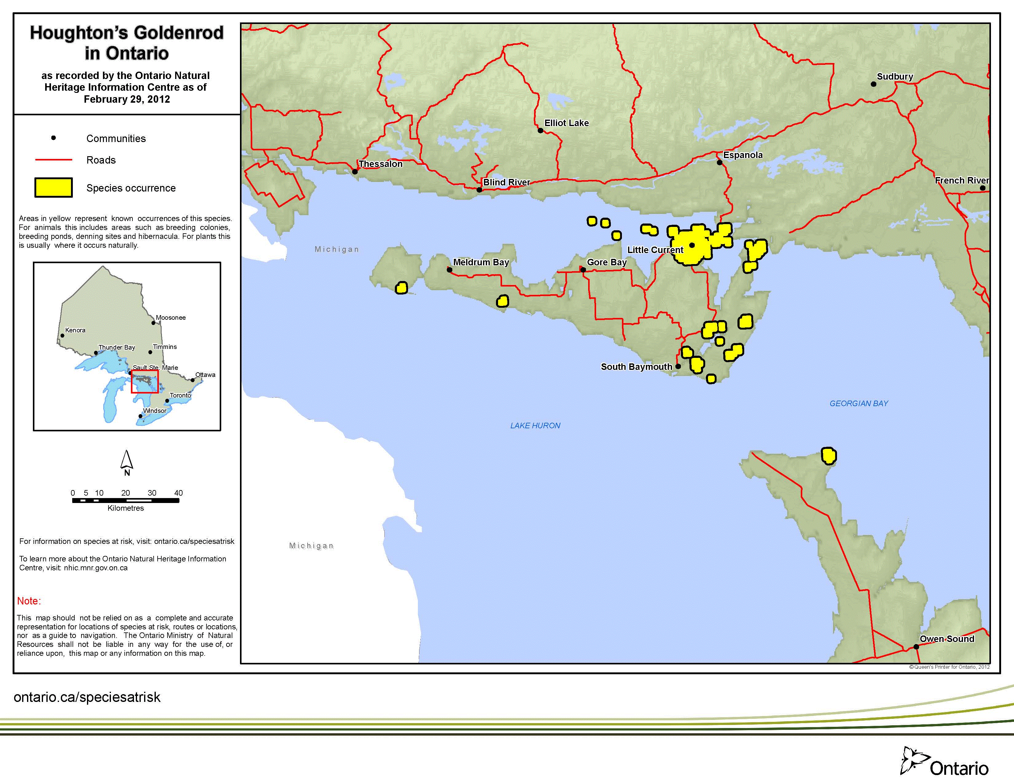map of houghton’s goldenrod range