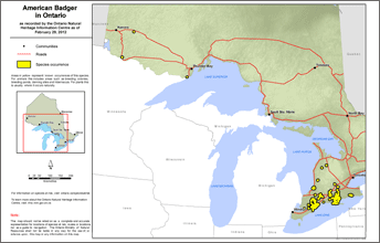 map of american badger range