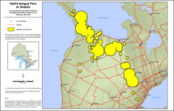 map of hart’s-tongue fern range