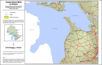 map of aweme borer moth range