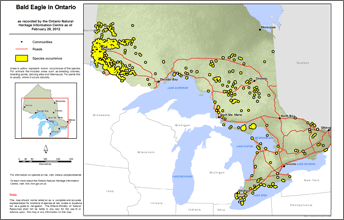 map of bald eagle range