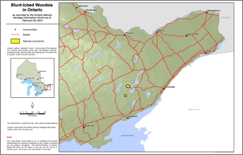 map of blunt-lobed woodsia range