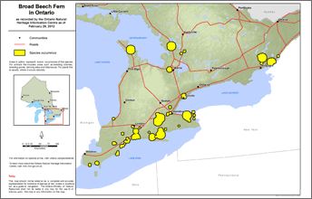 map of broad beech fern range