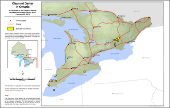 map of channel darter range