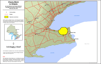 map of cherry birch range