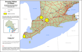 map of drooping trillium range