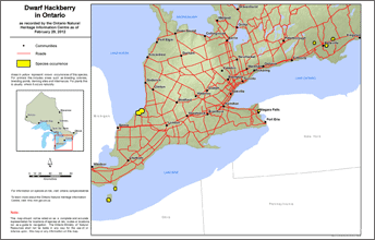 map of dwarf hackberry range