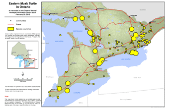 map of eastern musk turtle range