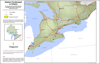 map of eastern pondmussel range