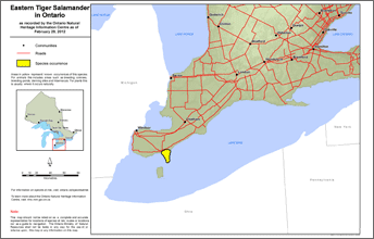 map of eastern tiger salamander range