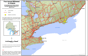 map of four-leaved milkweed range