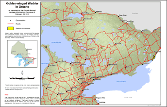 map of golden-winged warbler range