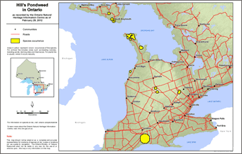 map of hill’s pondweed range