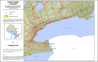 map of juniper sedge range