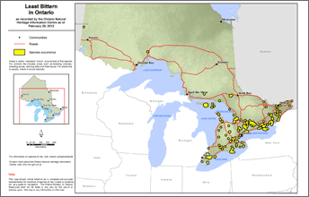 map of least bittern range