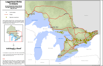 map of loggerhead shrike range